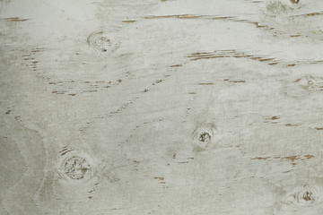 Holztextur, Hintergrundbild, hellgraue Holzwand