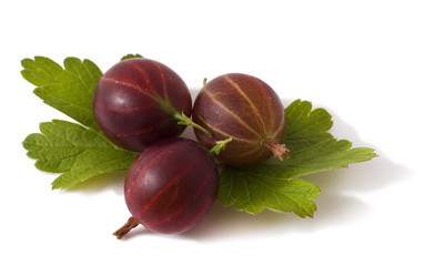 Gooseberries isolated on a white background