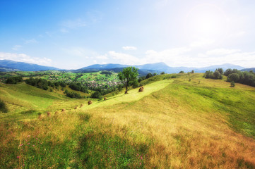 Colorful spring mountain green meadow landscape