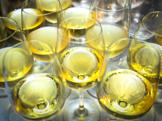 glass of white wine