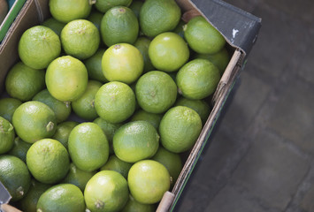 Green limes in a cardboard box ready to be sold at a market 