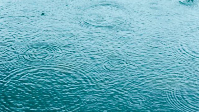 Abstract background, rain drops on the water