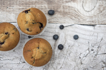 Three blueberry muffins with blueberries on a wooden background 