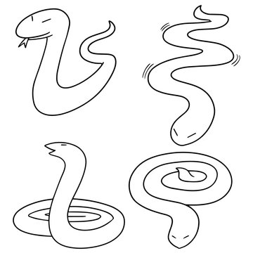 vector set of snakes