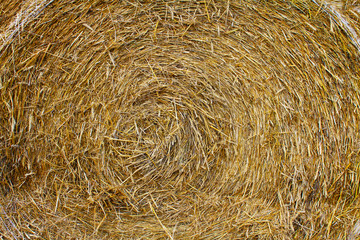 Straw in the bale, biomass for various applications