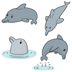 Fototapeta premium vector set of dolphin