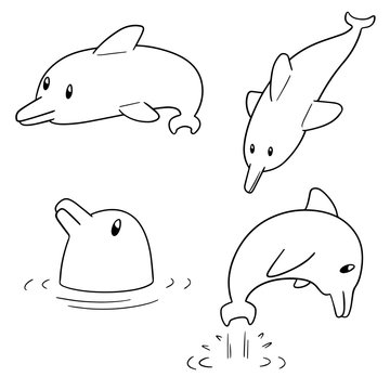 vector set of dolphin