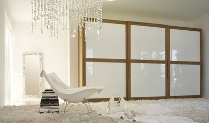 white elegant interior with modern wood and white wardrobe and fur carpet