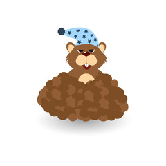 Marmot get out of the hole. The picture on the day of Groundhog