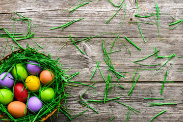 Happy easter eggs, festive decoration with colorful eggs in nest