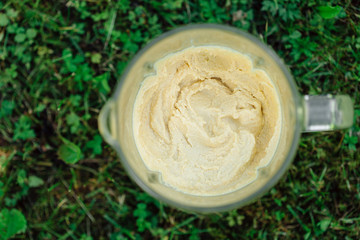 Traditional Middle east appetizer Hummus in blender. Chickpea dip. Natural grass background