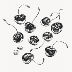 Black cherry hand drawn clip art illustration