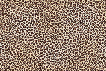 Leopard spotted fur texture
