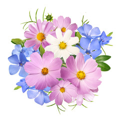 Fototapeta na wymiar bright periwinkl, daisy and forget-me-not wild primrose flowers 