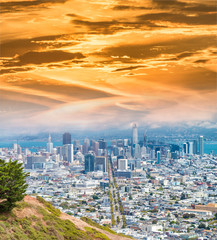 Obraz premium San Francico skyline from Christmas Tree Point