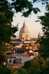 Fototapeta premium Dome and woods