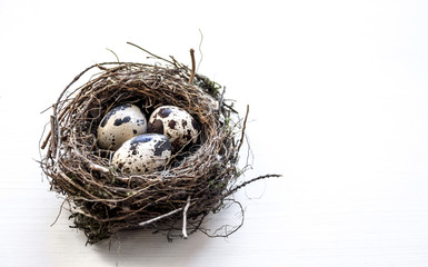 a nest with three quail eggs on a business table 