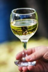Reflection of kissing lovely couple in wine glass