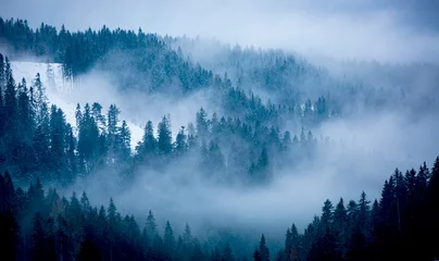 Afwasbaar Fotobehang Mistig bos mist in winterbos