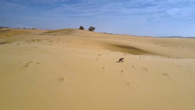 Woman Figure Does Sadhana among Desert Panorama