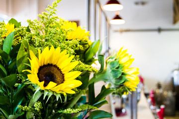 Sunflowers in a Bake Shop