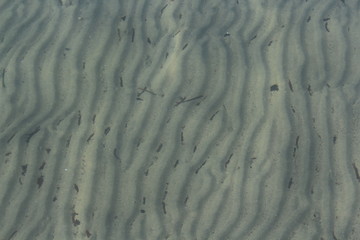 underwater