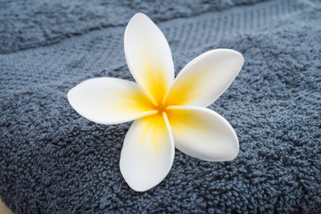 Naklejka na ściany i meble plumeria flower on towel close-up
