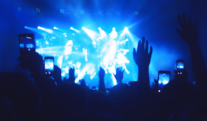  Jubelnde Menge bei einem Konzert