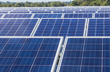 Obraz premium Close up rows array of polycrystalline silicon solar cells in solar power plant alternative renewable energy from the sun 