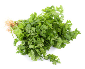 fresh coriander leaves on white background