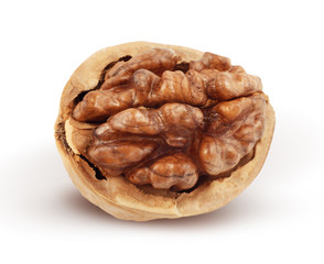Walnut isolated on white background