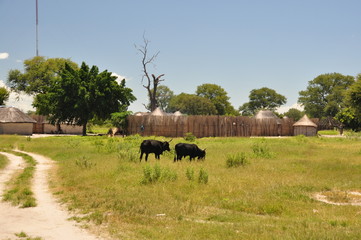 The African Village. Namibia