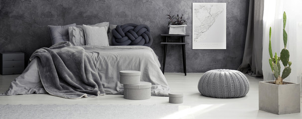 Cactus in grey bedroom interior