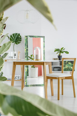 Dining room interior with mirror