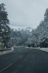 Mountain road between snow-covered woods