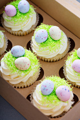 Easter vanilla cupcakes with cream cheese frosting