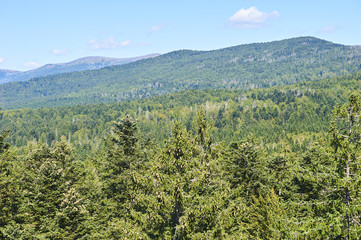 Obraz premium Summer landscape in National park Bavarian forest, Germany.