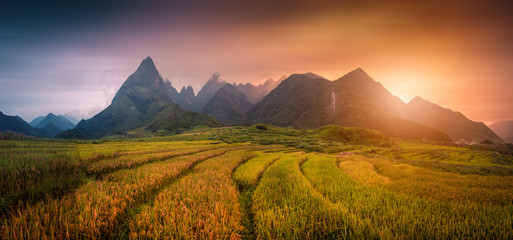 Rice fields on terraced with Mount Fansipan background at sunset in Lao Cai, Northern Vietnam....