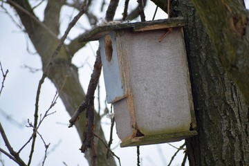 Blue birdhouse