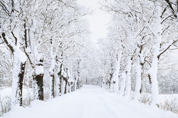 The winter road in a deep snow
