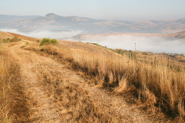 Fototapeta premium Summer. Early morning. Italy. Fog in the mountains, yellow dry grass, solitary trees
