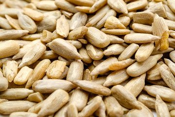 Sunflower Seeds Isolated on White Background