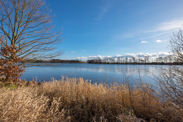 Blick auf den Hausteich im Dreba-Plothener Teichgebiet