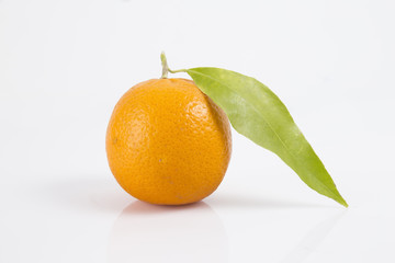 fresh fruit collection oranges isolated on white background.