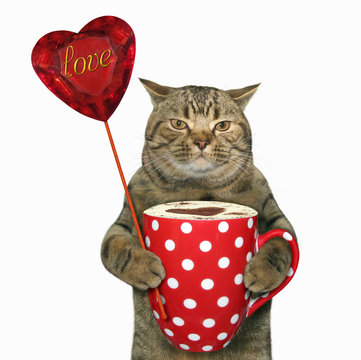 The cat holds a polka dot cup and a ruby heart. White background.