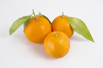 fresh fruit collection oranges isolated on white background.