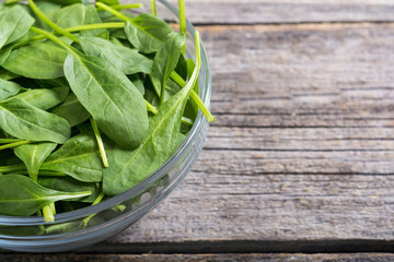 fresh green baby spinach