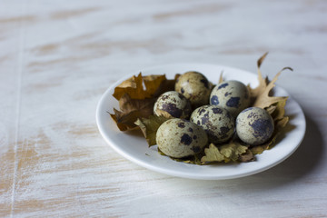 Quail eggs in a coffee cup and a bird nest with leaves on a white wooden background