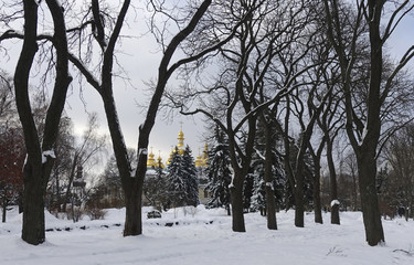 Fototapeta premium snow-covered park Vladimir's hill and domes Mikhailovsky Golden-domed Cathedral in the distance