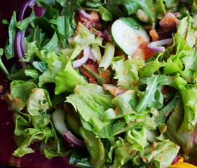 vegetable salad in a plate. Healthy food.